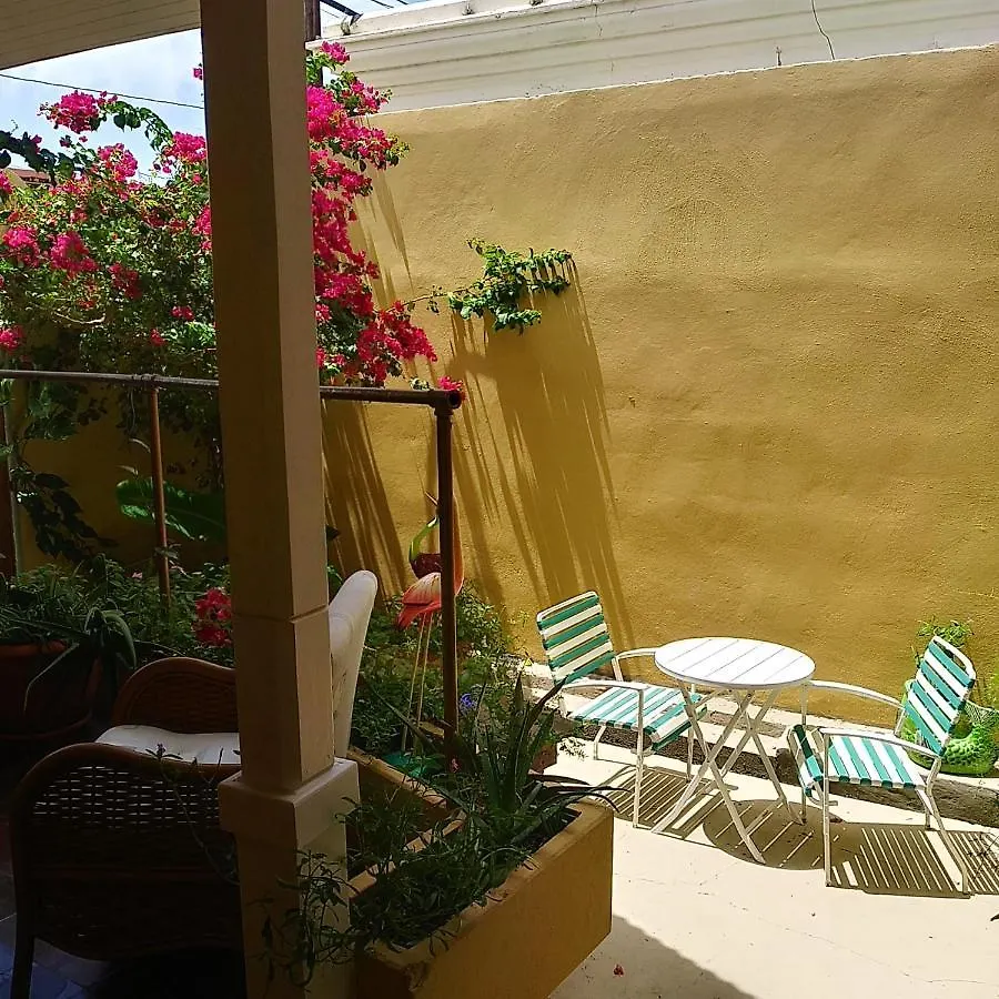 Cozy Nest Apartment Guayama